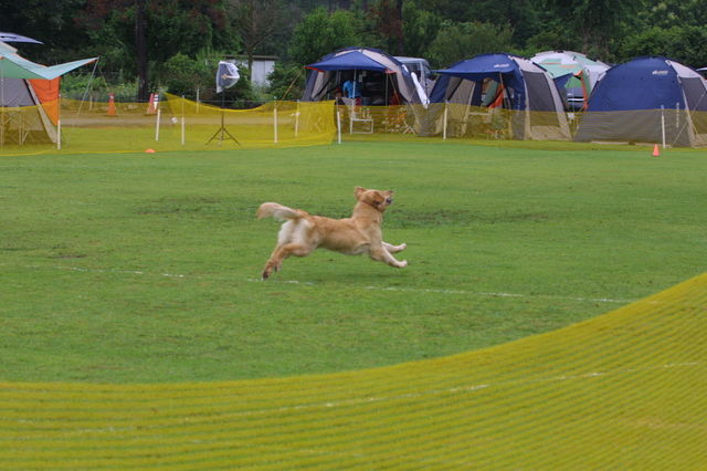 e0204314_07349.jpg