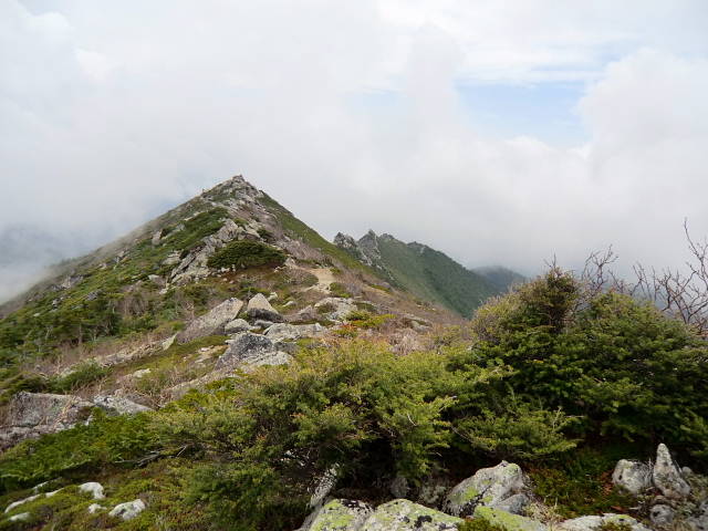 d0170615_2021165.jpg