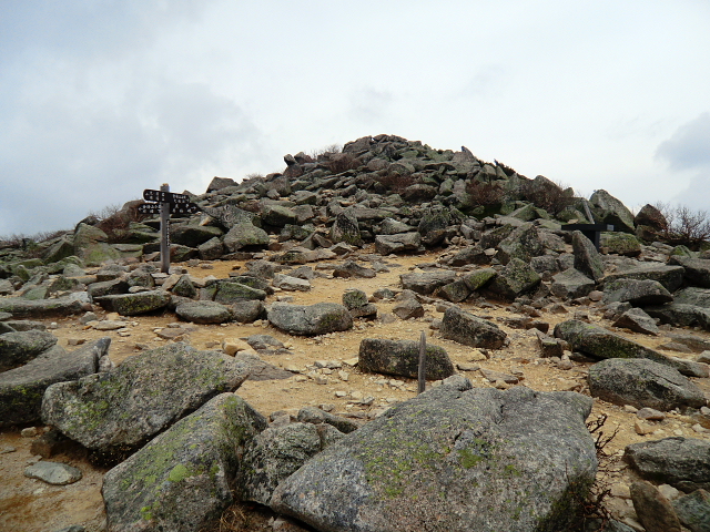 d0170615_20251837.jpg