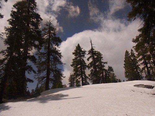 c0223117_13254864.jpg