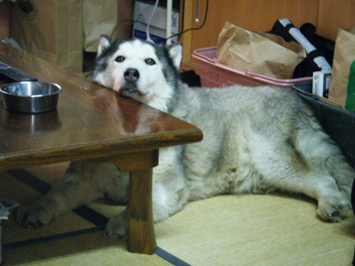 c0117420_1239910.jpg