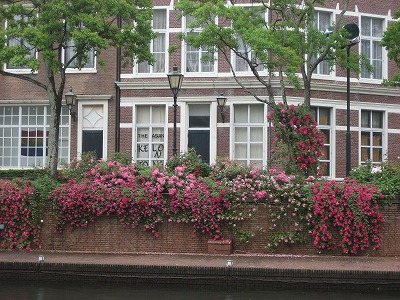 f0139520_13225523.jpg