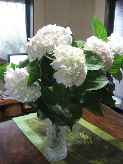 f0139520_1326280.jpg