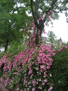 f0139520_1331387.jpg