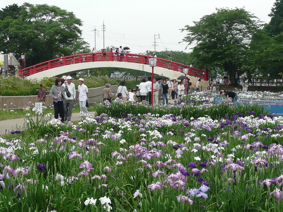 c0009528_18241189.jpg