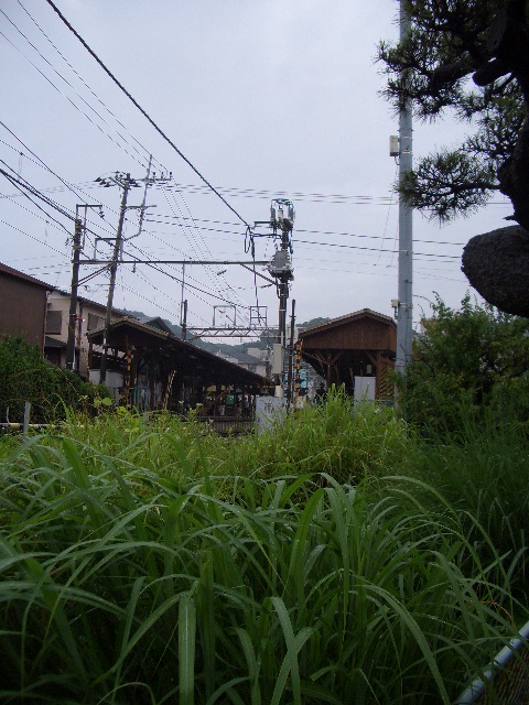 e0145328_2255195.jpg