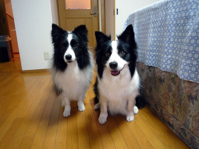 d0059230_10495010.jpg