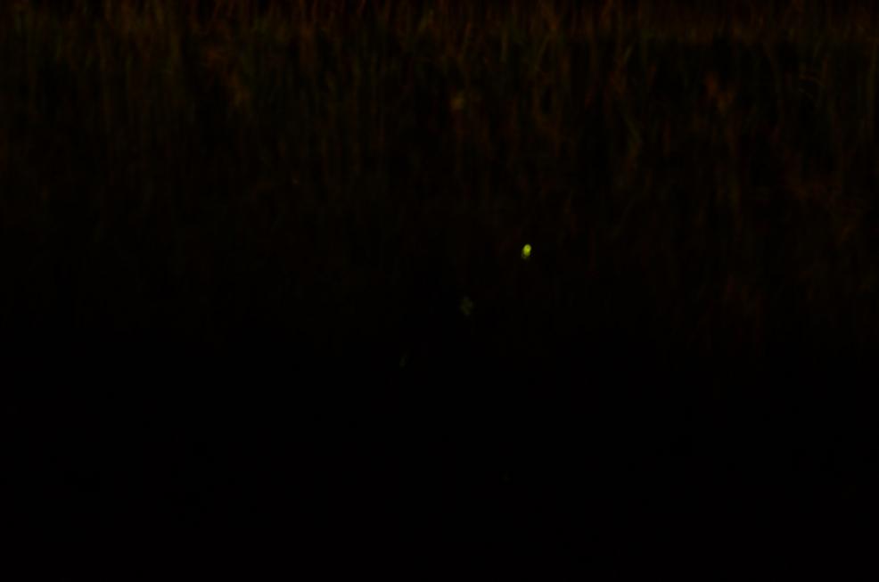 f0124830_23514690.jpg