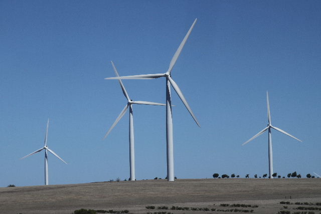 e0064133_036682.jpg