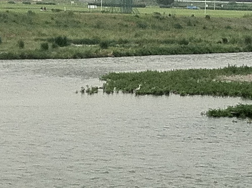 d0013834_11141916.jpg