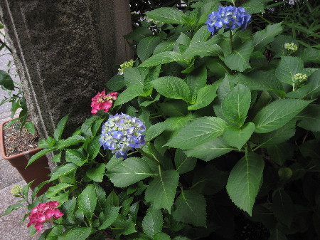 f0068334_19163138.jpg