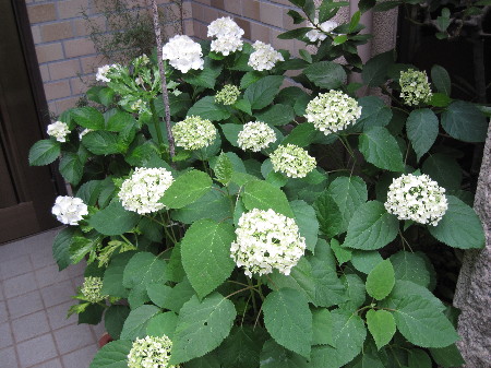 f0068334_19211056.jpg