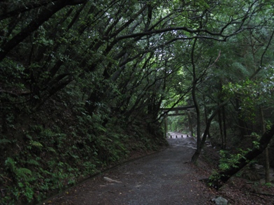 c0077338_20111794.jpg