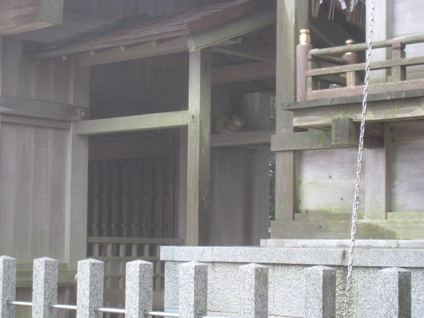c0077338_2012388.jpg