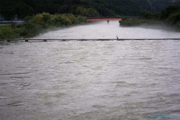 e0083238_20361982.jpg