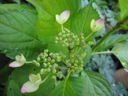 c0025140_19345635.jpg