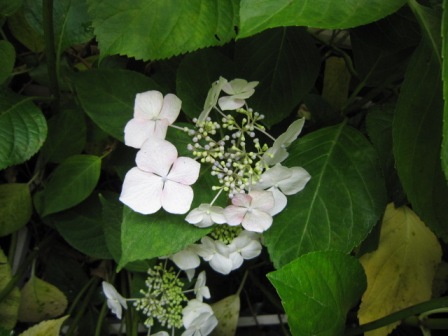c0025140_1934860.jpg