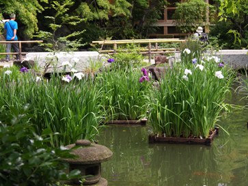e0149340_2011492.jpg