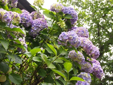 e0149340_20232737.jpg