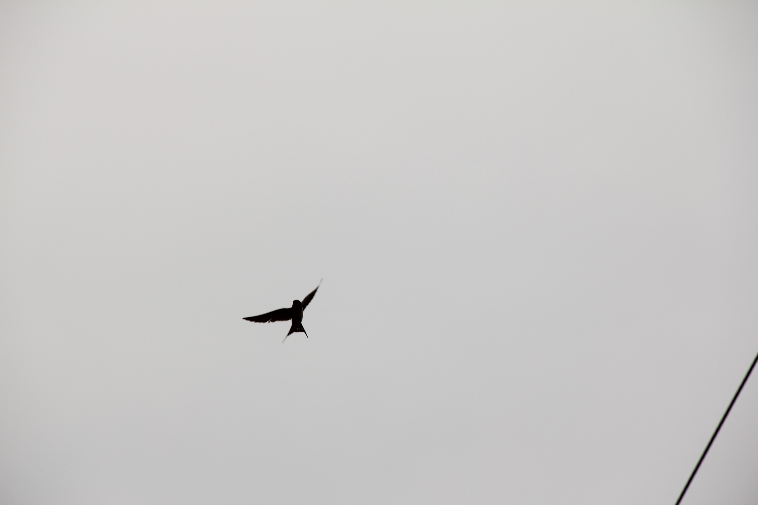 b0097645_11434728.jpg