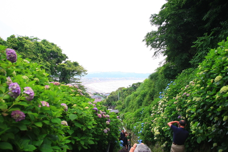 c0122445_21365828.jpg