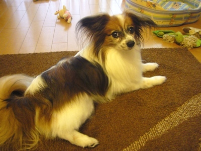 e0100046_16115436.jpg