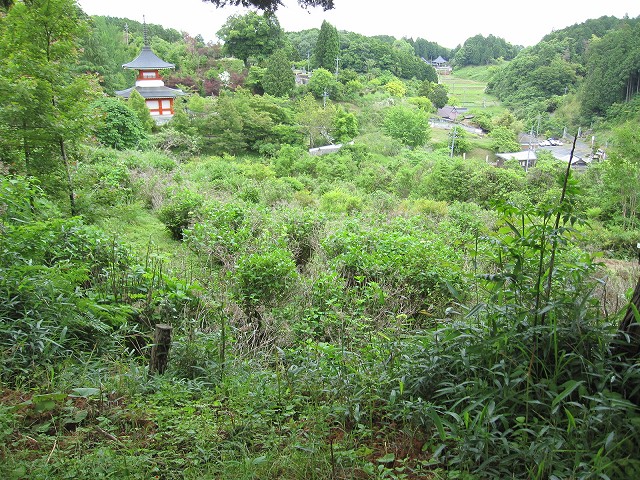 d0031853_5542922.jpg