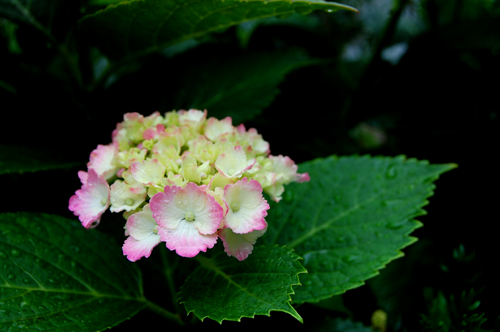 a0212754_2318443.jpg