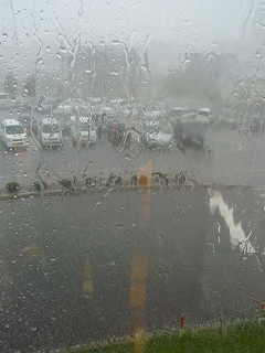 e0004756_2085414.jpg