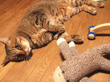 c0097558_1953665.jpg