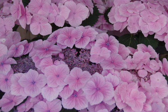 e0213360_2101764.jpg