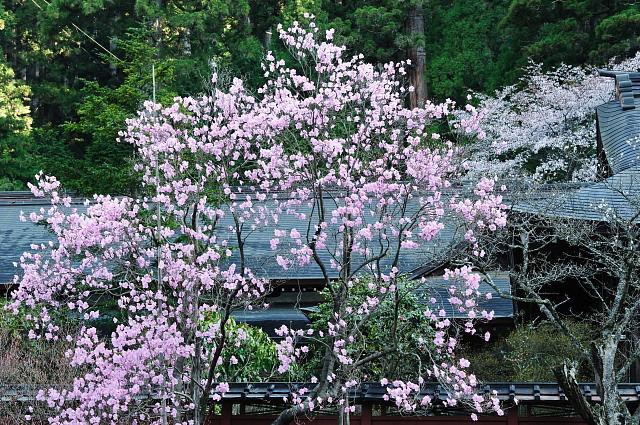 f0222161_23411031.jpg