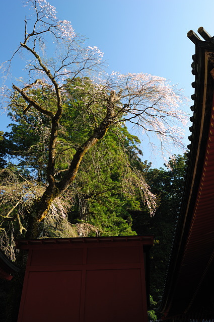 f0222161_23411492.jpg