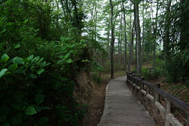 b0223668_6464431.jpg