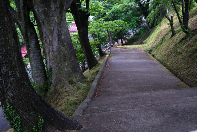 b0223668_650645.jpg