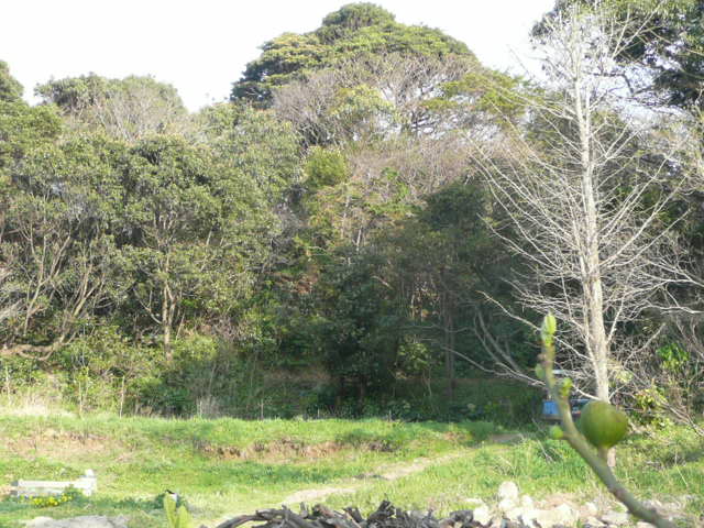 a0154870_14393390.jpg