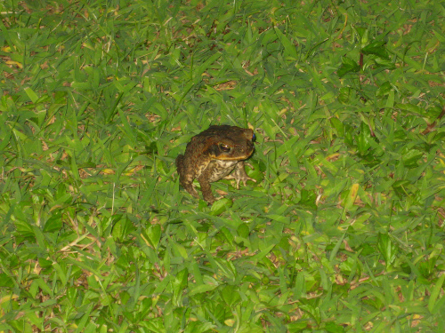 d0082970_23502494.jpg