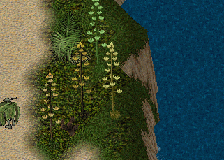 b0190672_13134196.gif
