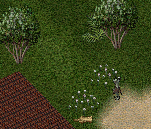 b0190672_13163731.gif