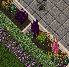 b0190672_13194638.gif