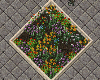 b0190672_132172.gif