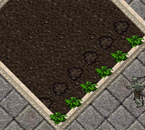 b0190672_19372079.gif
