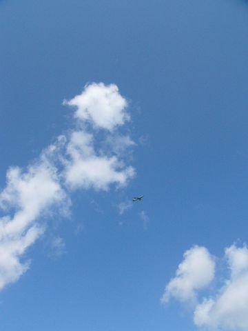 c0139375_14235184.jpg