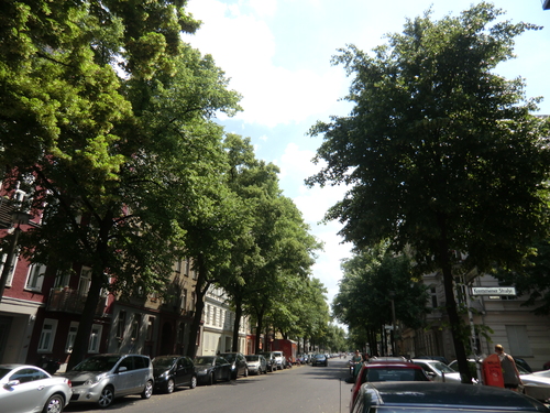 b0213177_16532.jpg