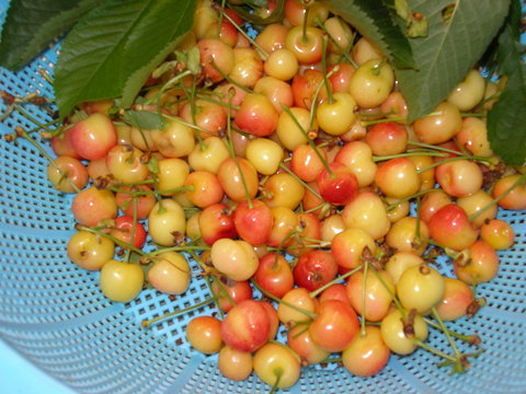 d0182179_18505633.jpg