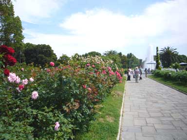 f0091282_21311269.jpg