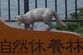 c0018489_23224860.jpg
