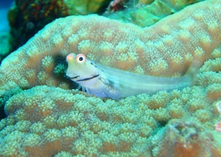 c0018489_23584074.jpg