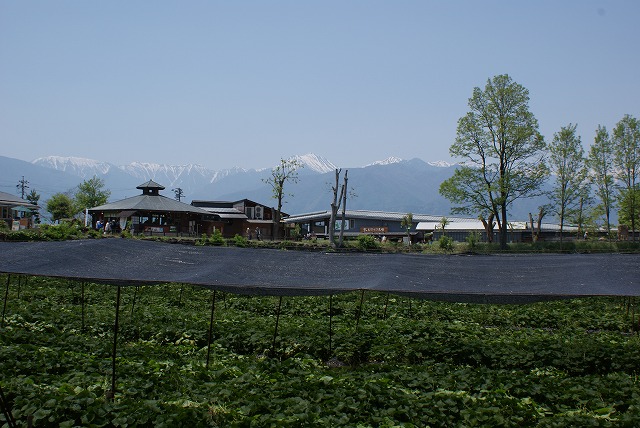 f0079289_23524297.jpg