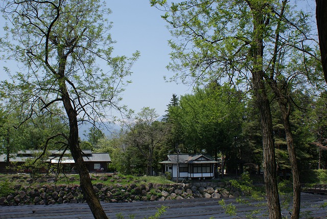 f0079289_23531790.jpg
